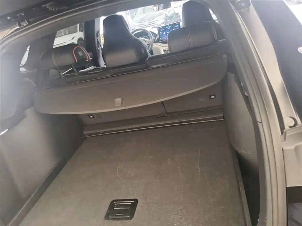 BYD Song PLUS PHEV 2021 DM-i 110KM Flagship фото 19