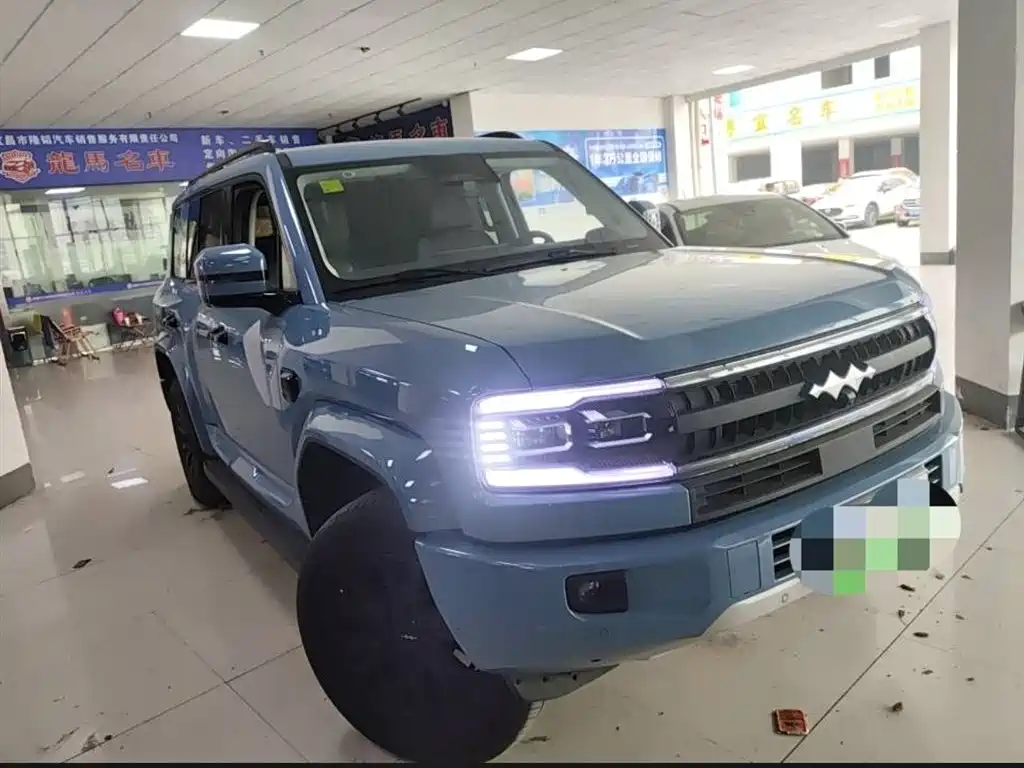 FANG CHENG BAO LEOPARD 5