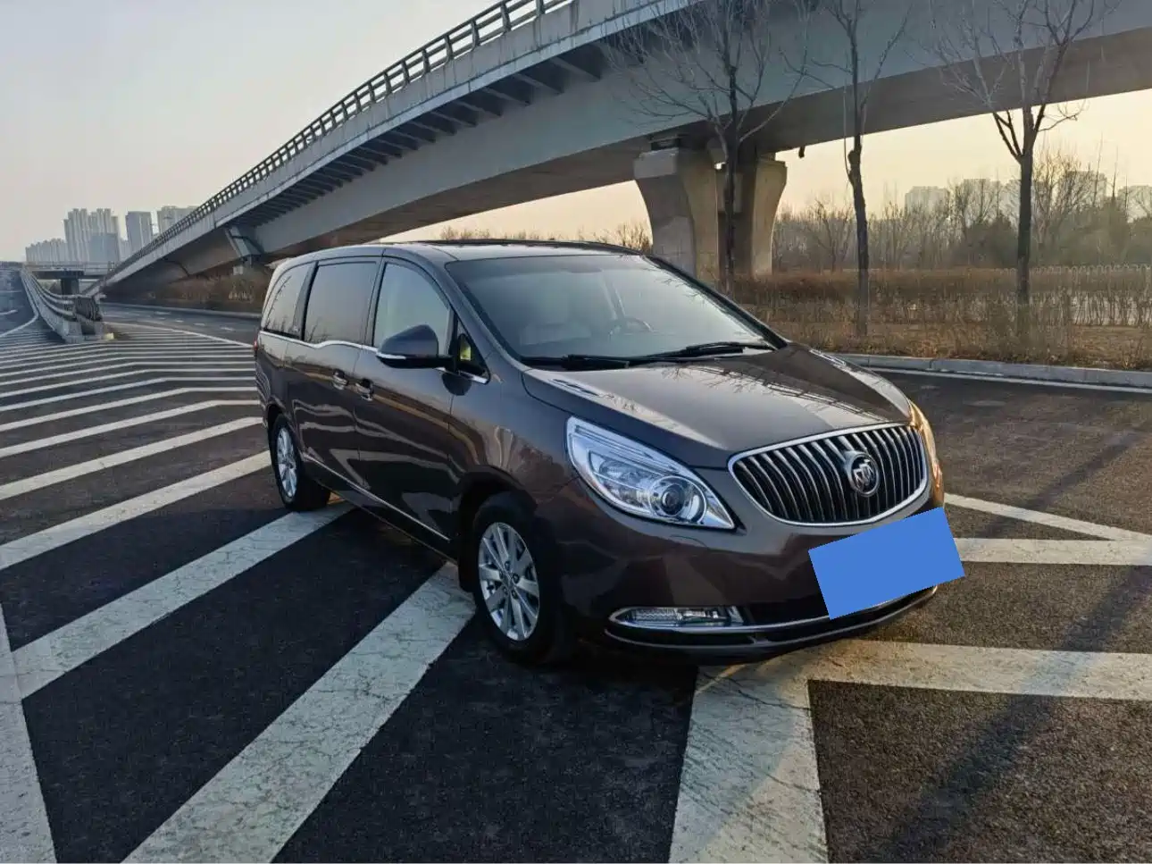 Buick GL8 2014 2.4L LT Luxury Business Executive фото 3