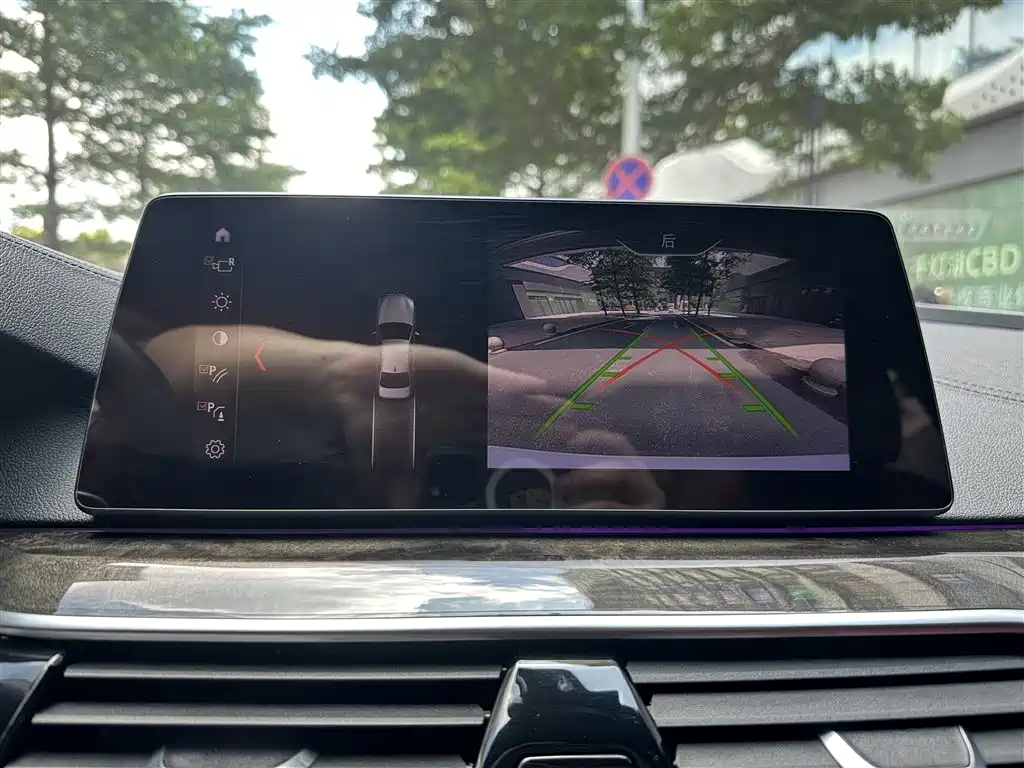 BMW 5 Series 2019 530Li Leading M Sport Package фото 15