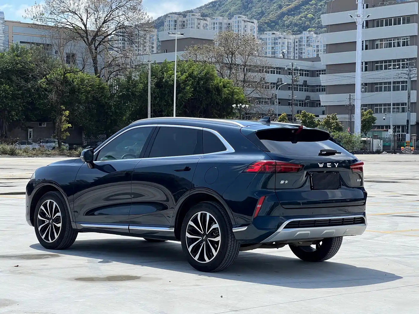 WEI PAI WEI BRAND MOCHA