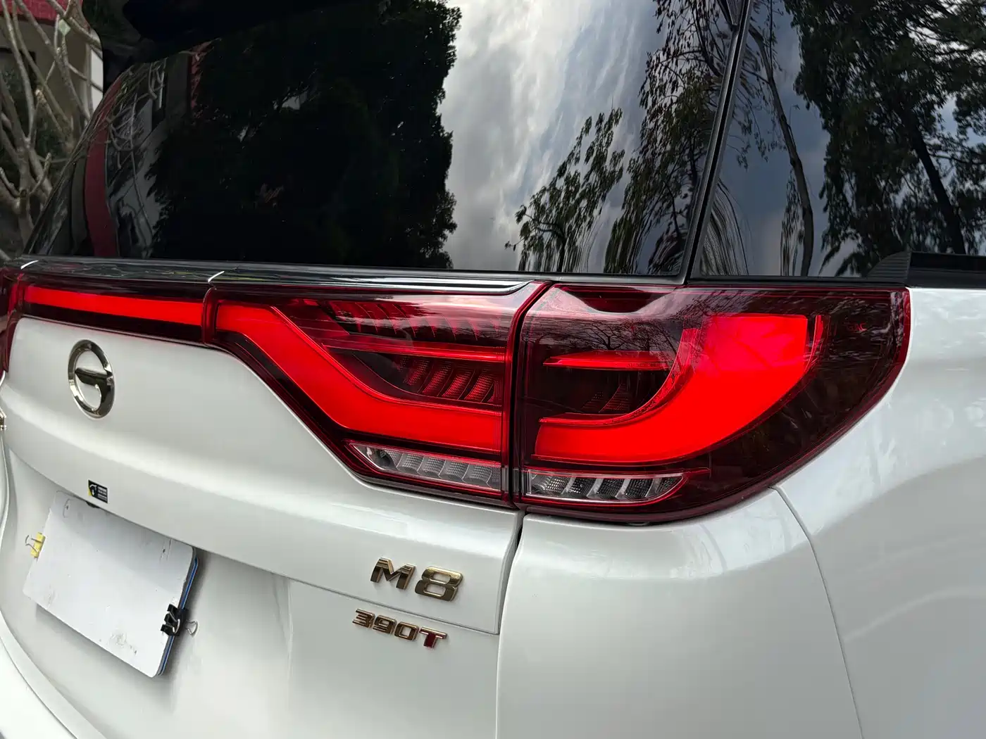 GAC Trumpchi Trumpchi M8 2021 Master Series 390T 4-Seat Glory Edition фото 23