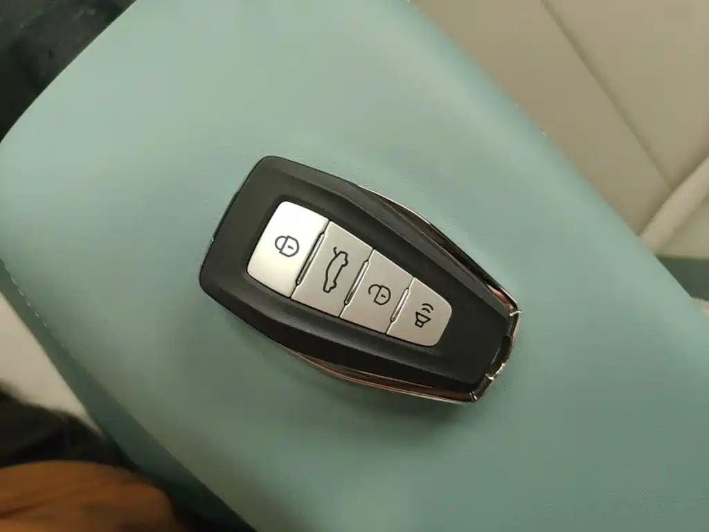 Geely Geometry E Firefly 2024 2024 Model 301km Starlight