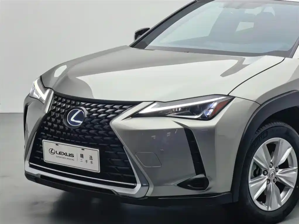 Lexus UX 2020 260h Explore Cool Edition фото 14