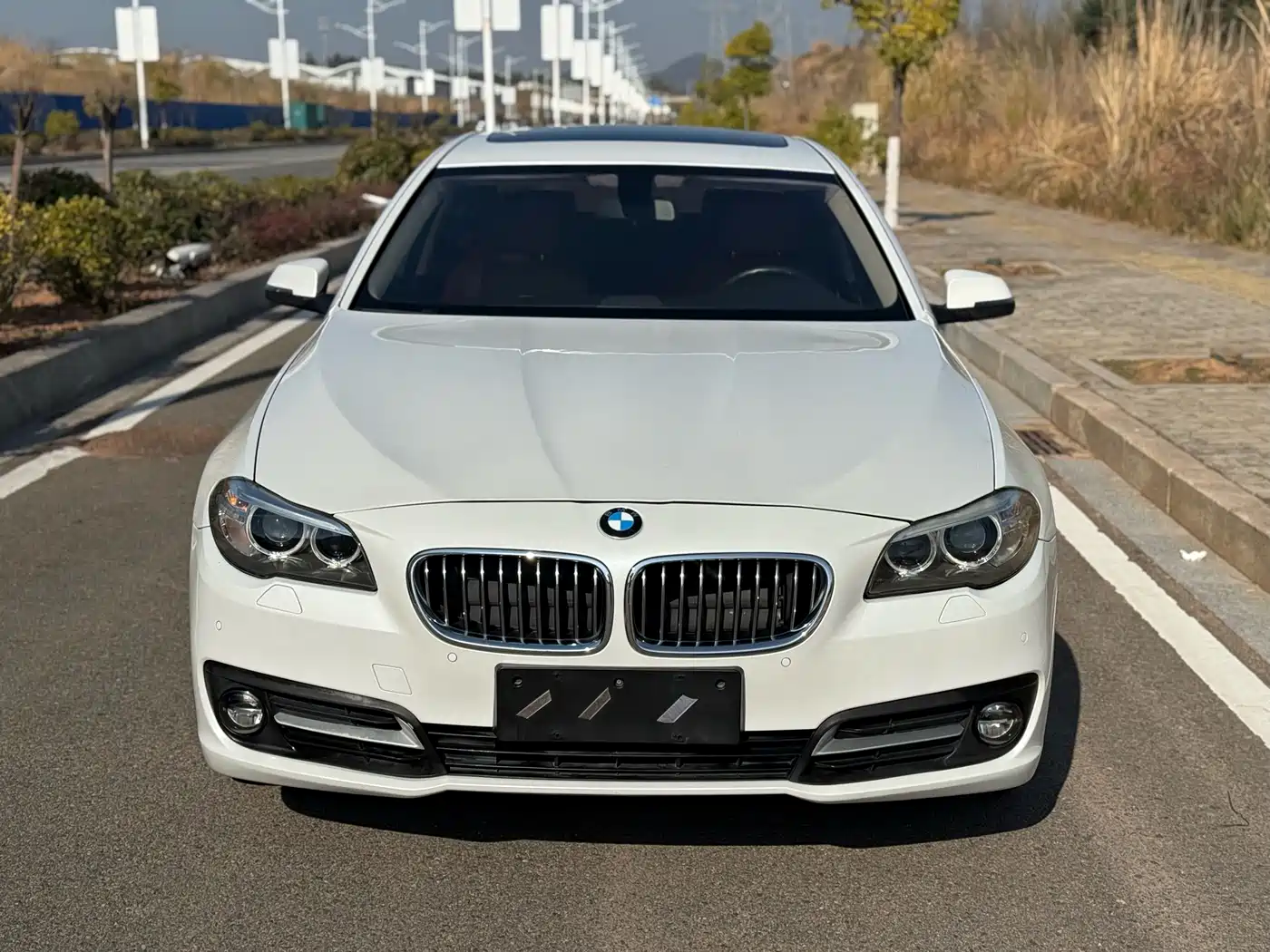 BMW 5 Series 2017 520Li Classic Edition фото 2