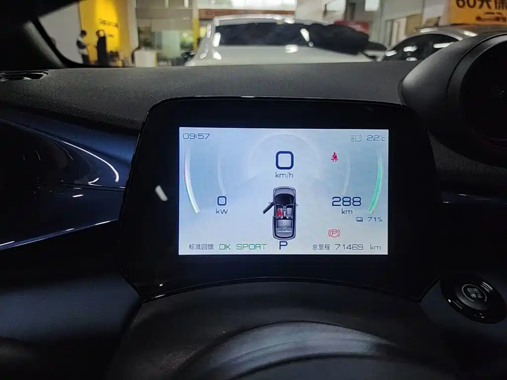 BYD Dolphin 2022 2021 401km Knight Edition