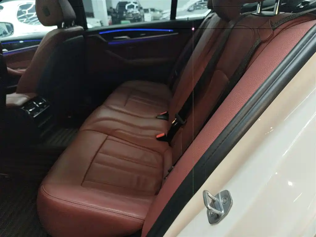 BMW 5 Series 2019 530Li Leading M Sport Package фото 17