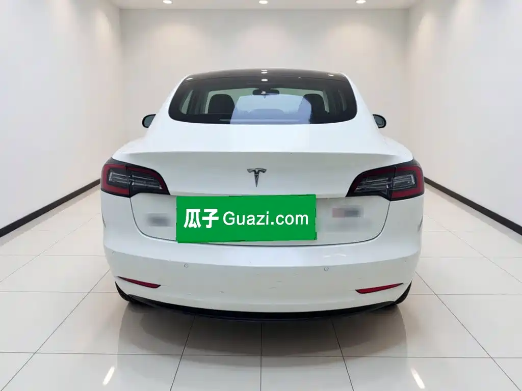 Tesla Model 3 2020 2019 Standard Range Rear-Wheel Drive Upgrade