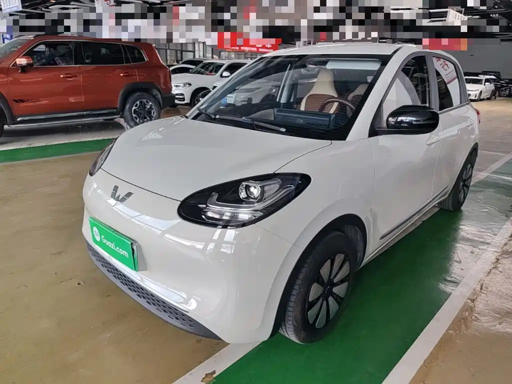 Wuling Motors Wuling Bingo 2023 2023 Model 203km Lite Enjoyment Edition