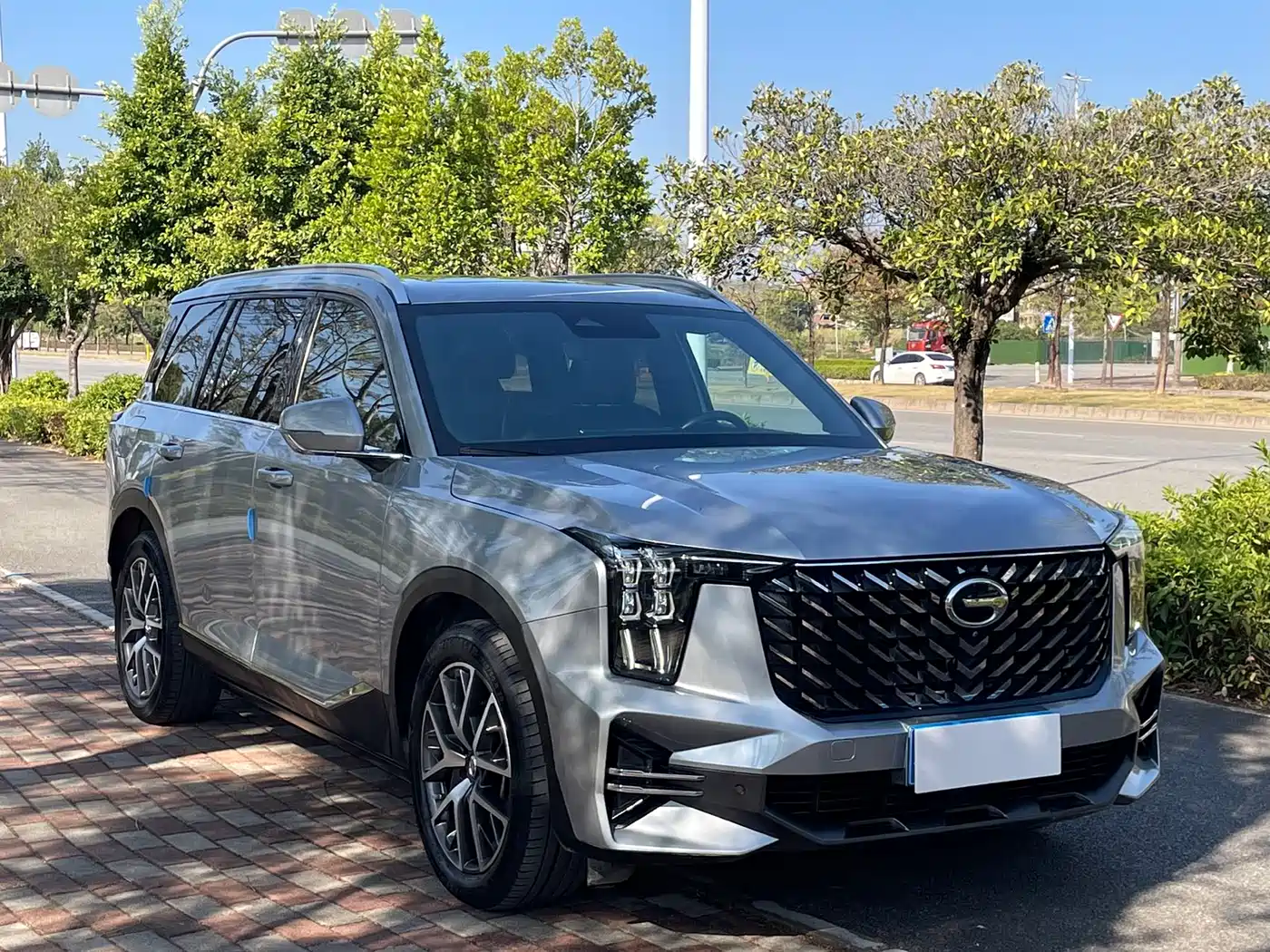 GAC Trumpchi Trumpchi GS8 2022 Pilot Series 2.0TGDI 2WD Luxury Smart Connect Edition (7-Seater) фото 3