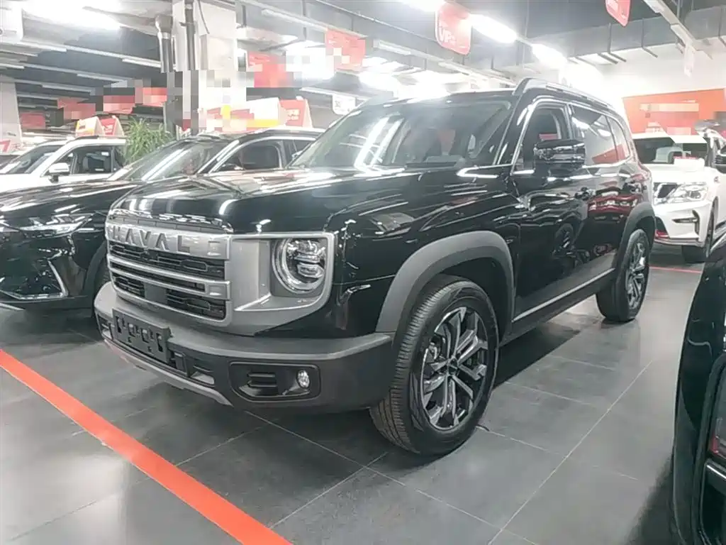 Haval Big Dog 2024 1.5T DCT Border Collie Edition