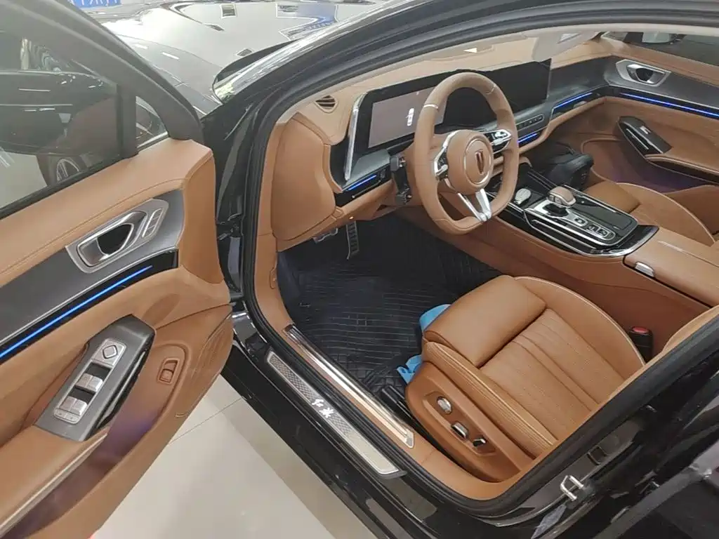 Hongqi H9 2025 2024 2.0T Qi Enjoy Private Fashion Edition