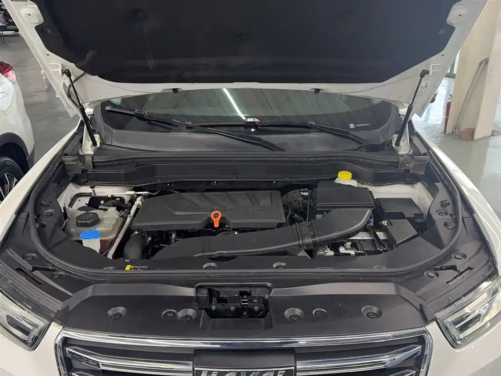 Haval H6 2020 1.5GDIT Automatic Platinum Champion Edition фото 10