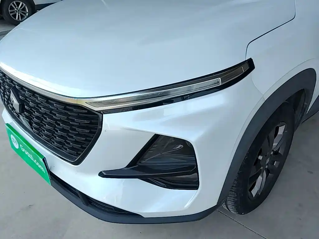 Baojun RS-3 2020 2020 Model 1.5L CVT 24-hour Online Luxury