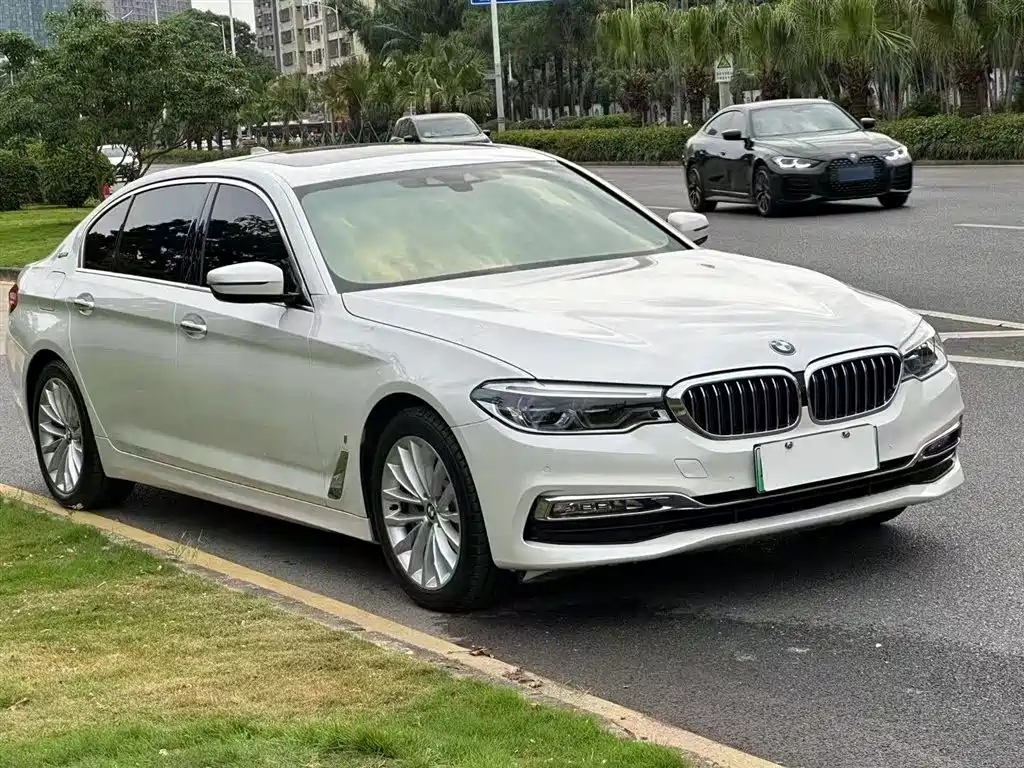 BMW 5 Series New Energy 2019 530Le Luxury Package фото 11