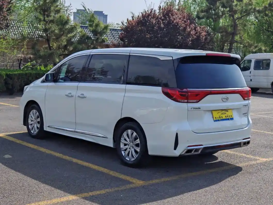 GAC Trumpchi Trumpchi M8 2020 Pilot 390T Premium Edition фото 6