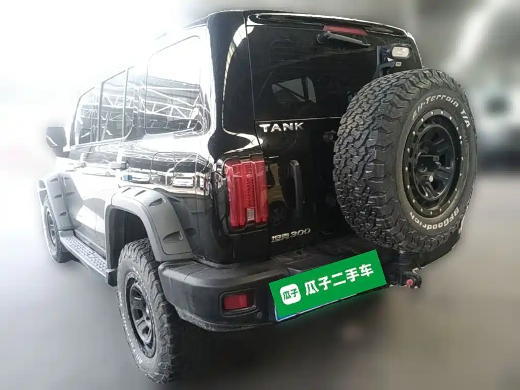 Фото 7 - Tank 300
