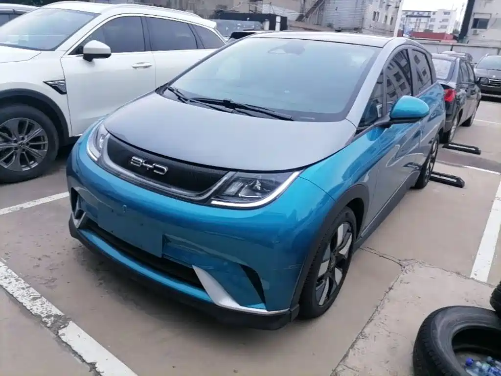 BYD Dolphin 2021