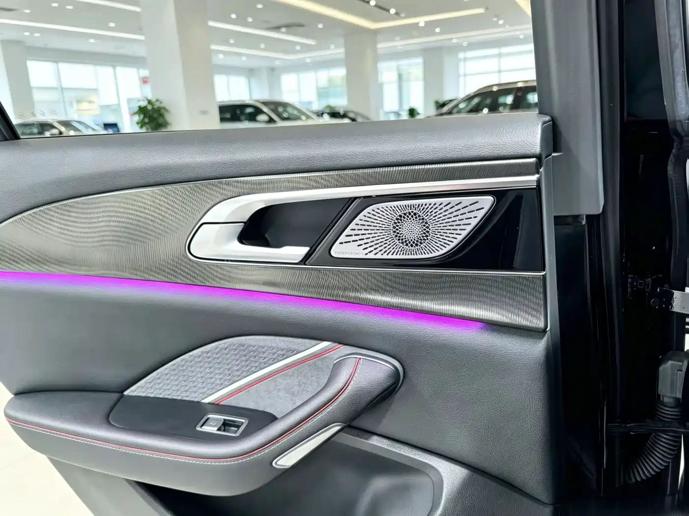 Hongqi H6 2024 Model 2.0T Fashion Edition фото 12