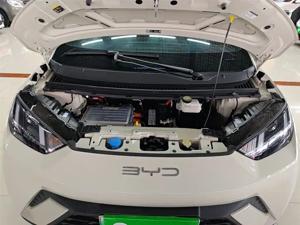 BYD Seagull 2023 Vitality Edition фото 20