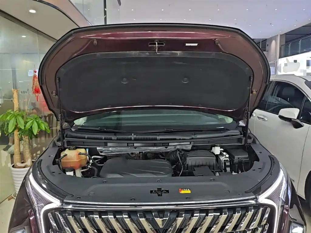 SAIC Maxus Maxus G90 2022 2.0T Galaxy 7-Seater Edition фото 20
