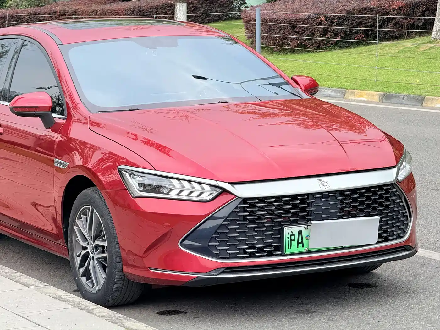 BYD Qin PLUS 2021 DM-i 120KM Premium фото 5