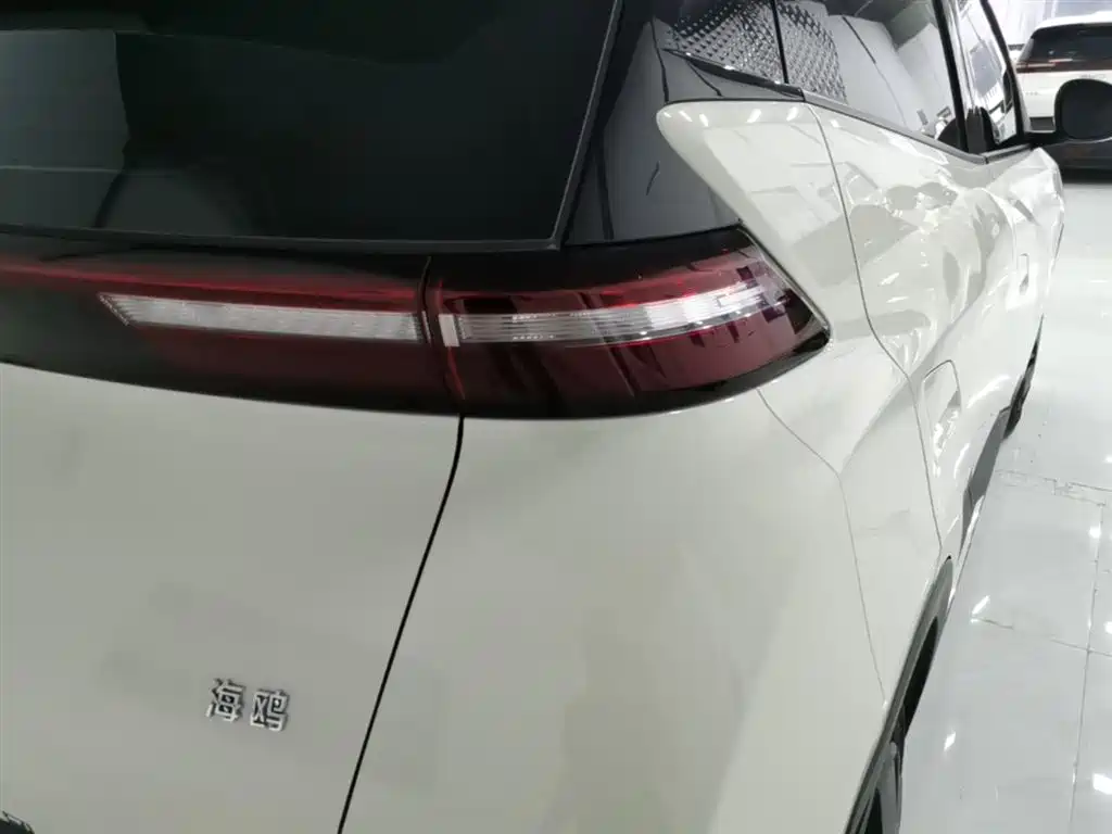 BYD Seagull 2025 305km Vitality фото 24