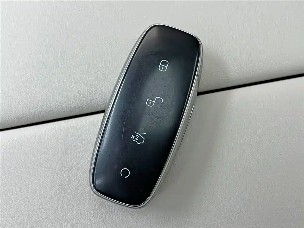 Denza D9 2024 DM-i 980 AWD Premium фото 20