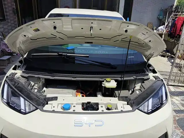BYD Seagull 2025 Smart Drive Edition 305km Freedom Version — фото 3