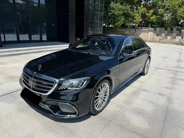 Mercedes-Benz Mercedes-Benz S-Class AMG 2018 AMG S 65 L