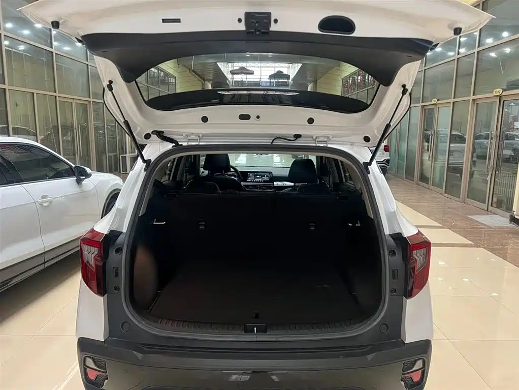 Kia Seltos 2023 1.5L CVT Luxury Edition фото 18