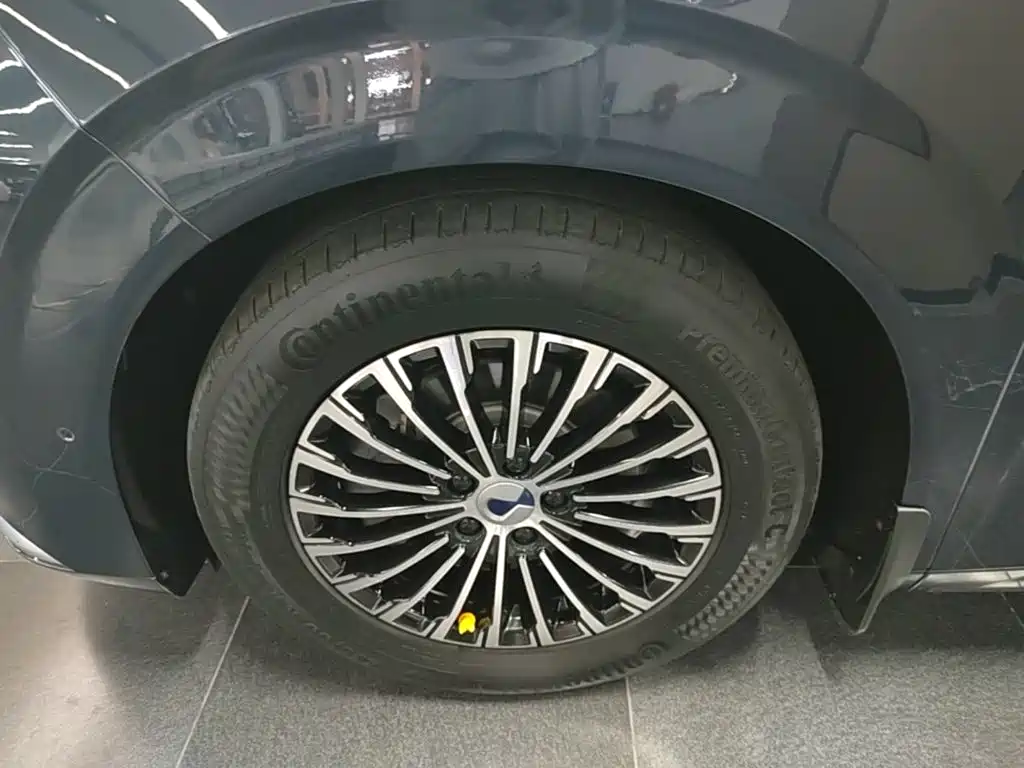 Denza D9 2023 2022 DM-i 970 AWD Flagship
