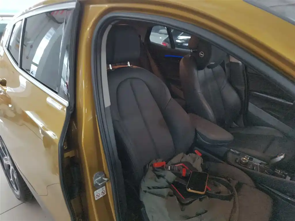 BMW X2 (Import) 2019 sDrive20i M Off-Road Package China VI фото 25