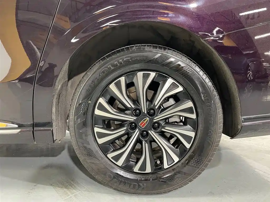 Hongqi HQ9 PHEV 2024 Model 2.0T AWD Luxury Edition фото 18