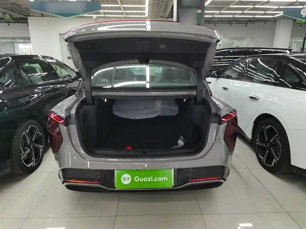 Hongqi EH7 2024 640 Pro+ AWD Edition фото 19