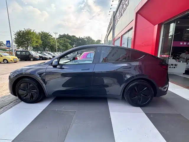 Tesla Model Y 2025 Model Long Range All-Wheel Drive Launch Edition — фото 4