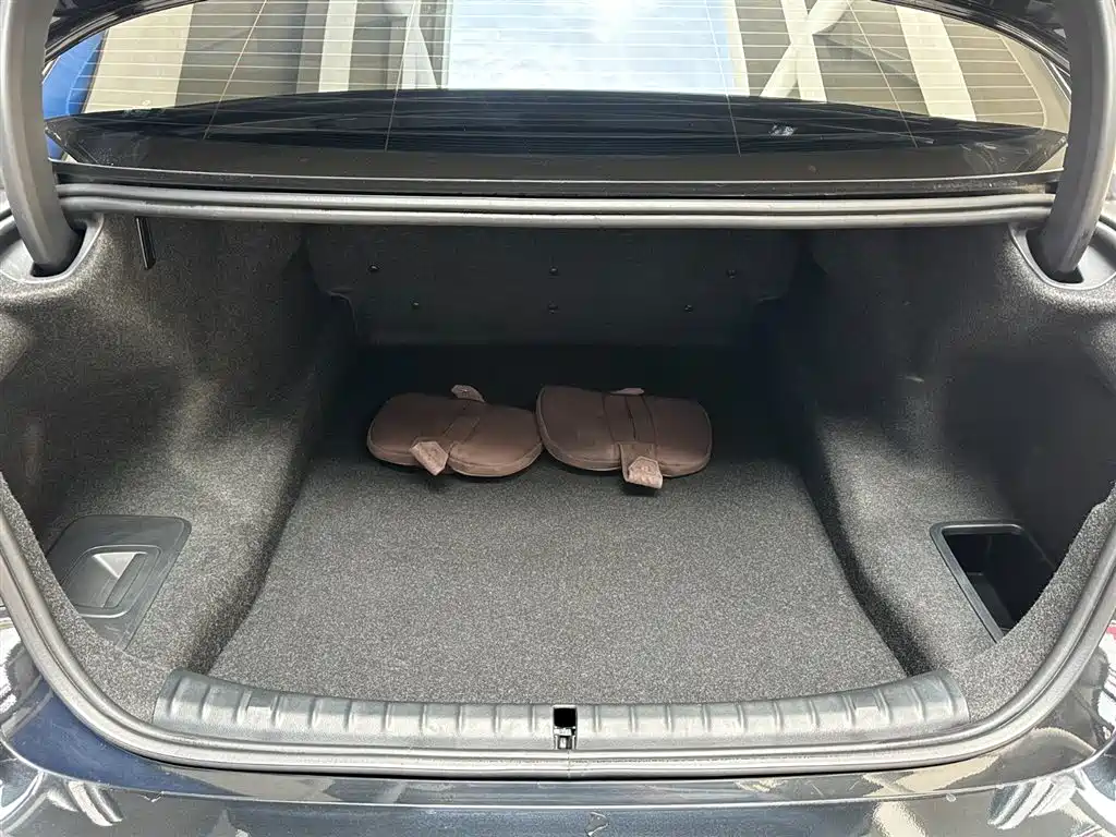BMW 5 Series 2020 530Li xDrive Luxury Package фото 8