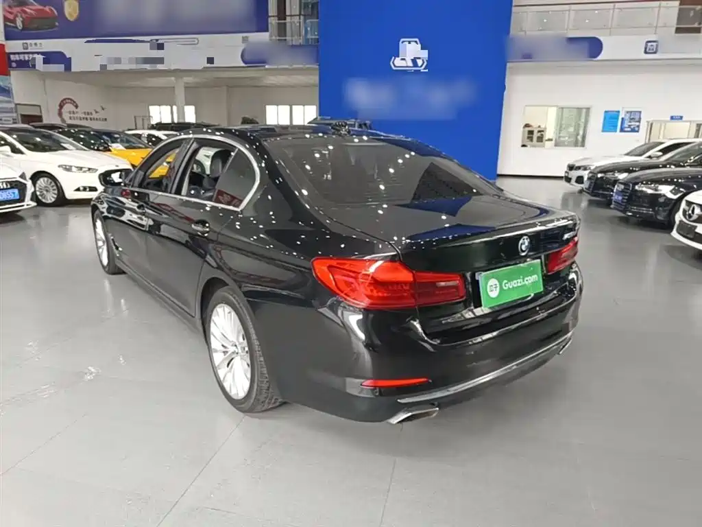 BMW 5 Series 2018 525Li Luxury Package фото 5