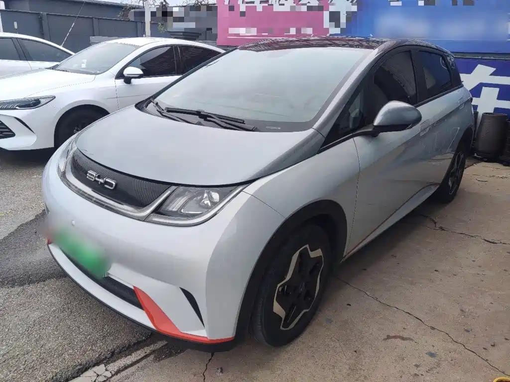 BYD Dolphin 2021 2021 Model 405km Fashion Edition