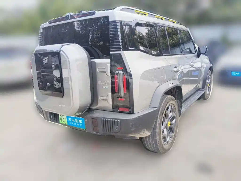 Jetour Shanhai T2 2024 2024 C-DM 208KM Wilderness Edition