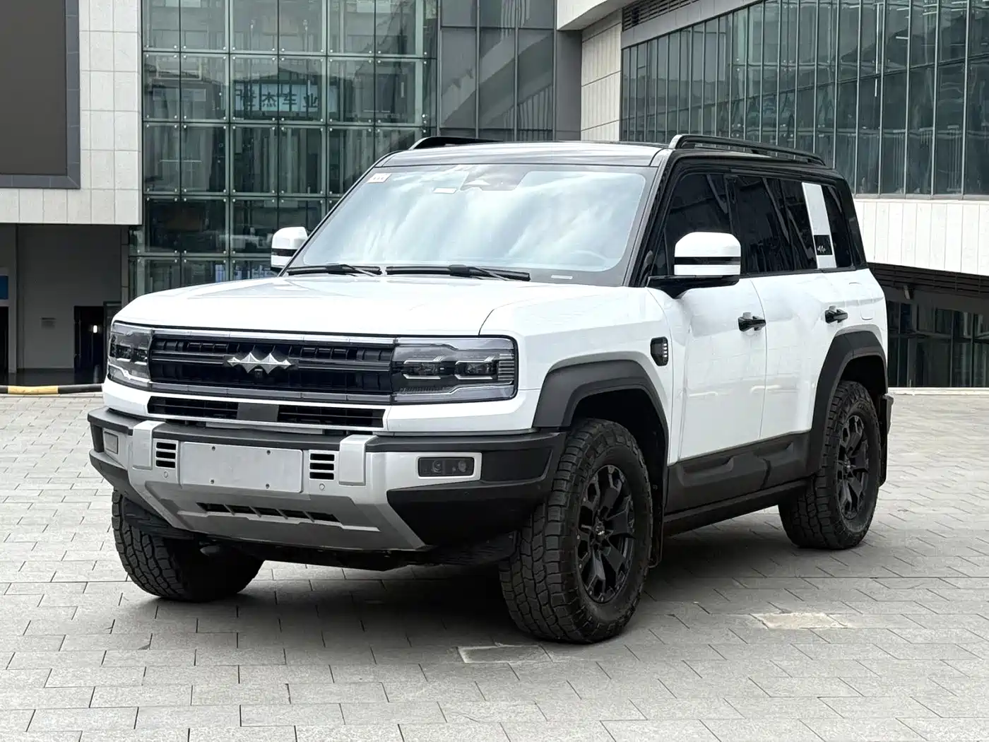 FANG CHENG BAO LEOPARD 5