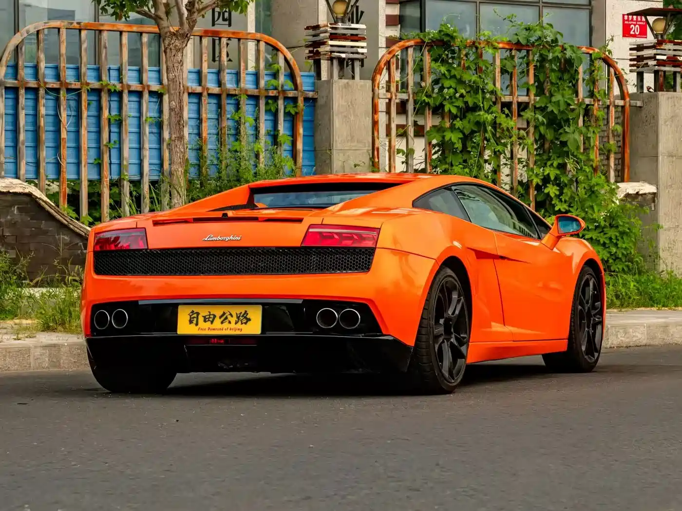 Photo 14 - Lamborghini Gallardo