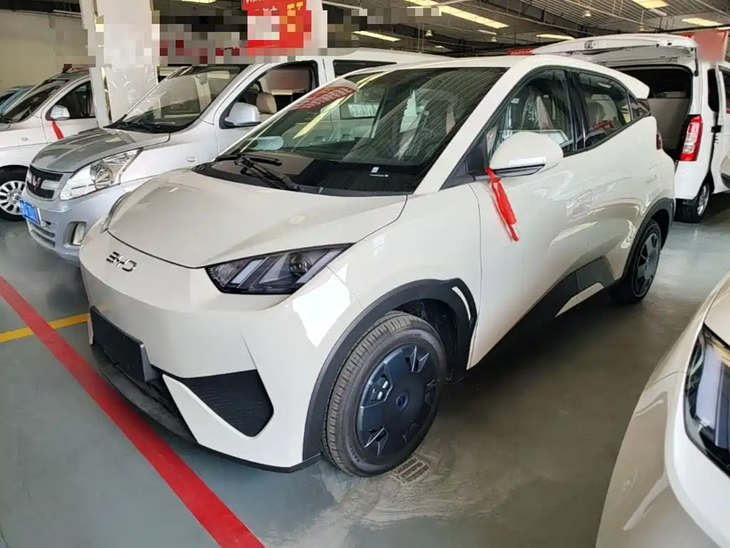 BYD Seagull 2026 2025 Smart Drive Edition 305km Vitality Version