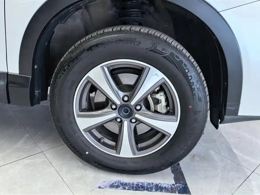 Haval H6 Coupe 2018 Blue Label 1.5T Auto 2WD Luxury Edition фото 6