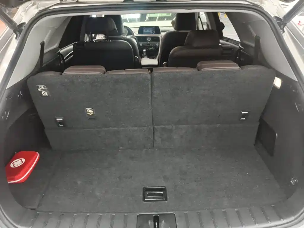 Фото 6 - Lexus RX