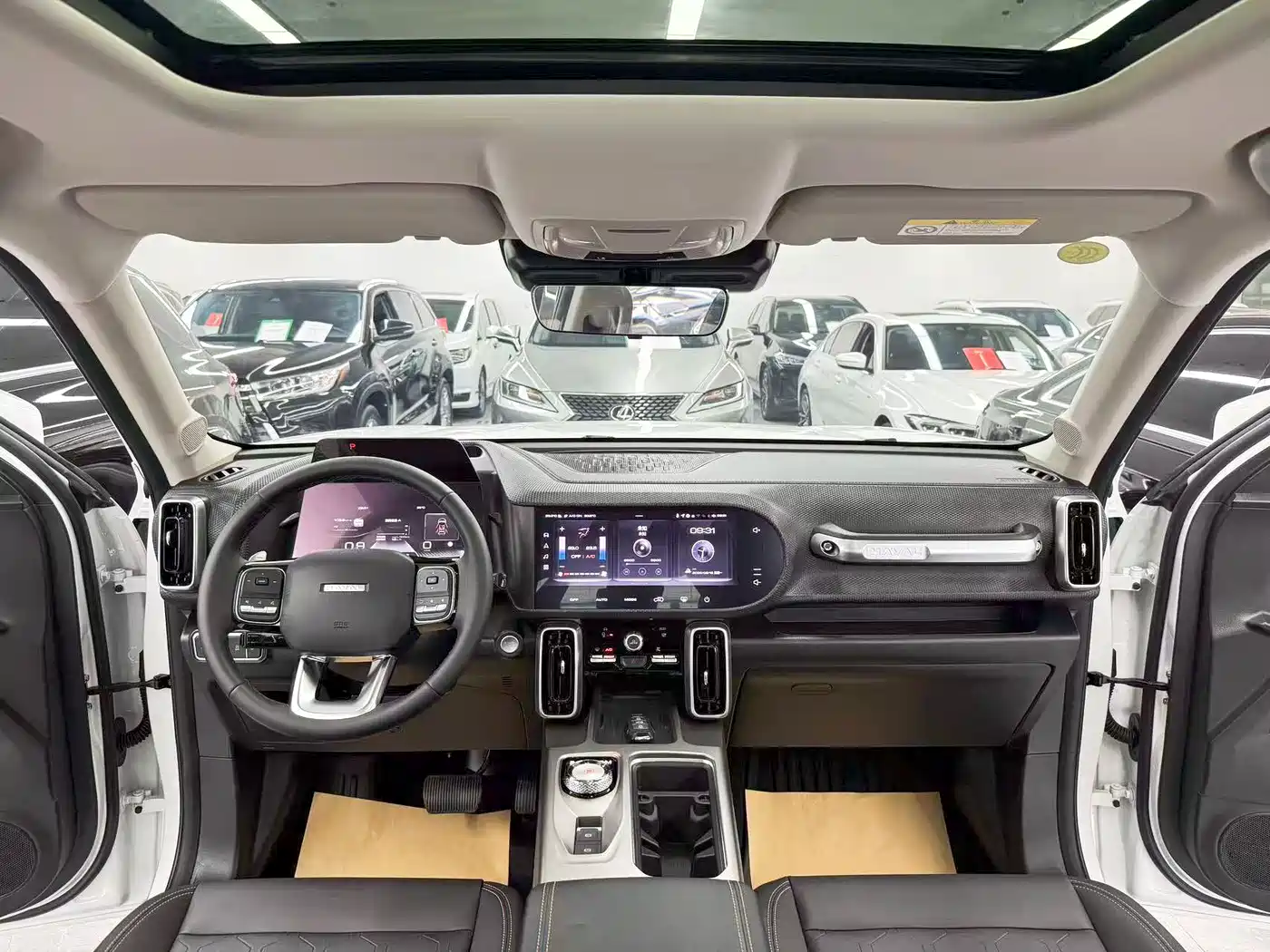 Haval Big Dog 2025 2024 1.5T DCT Border Collie Edition