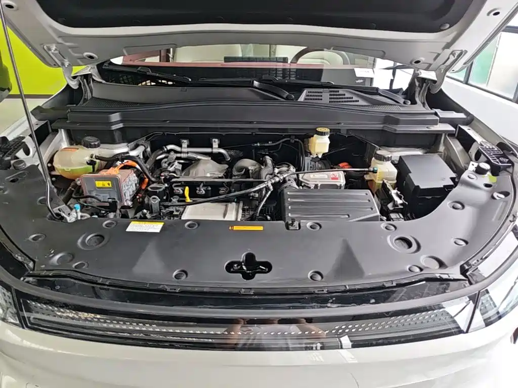 Фото 20 - Dongfeng Aeolus L8