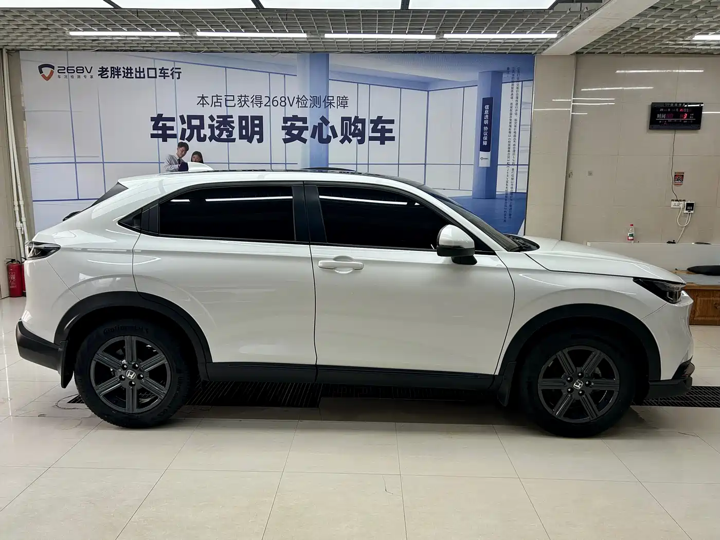  XR-V