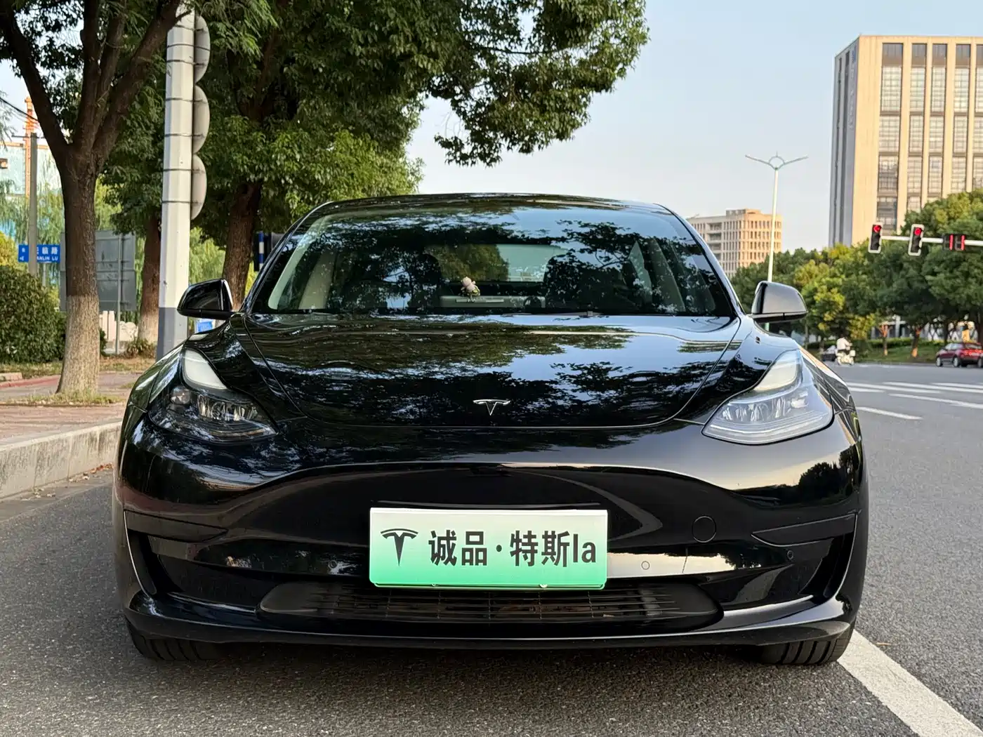 Фото 8 - Tesla Model 3