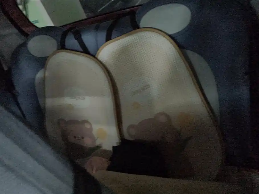 BESTUNE PENTIUM PONY